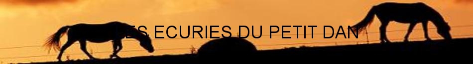 LES ECURIES DU PETIT DAN